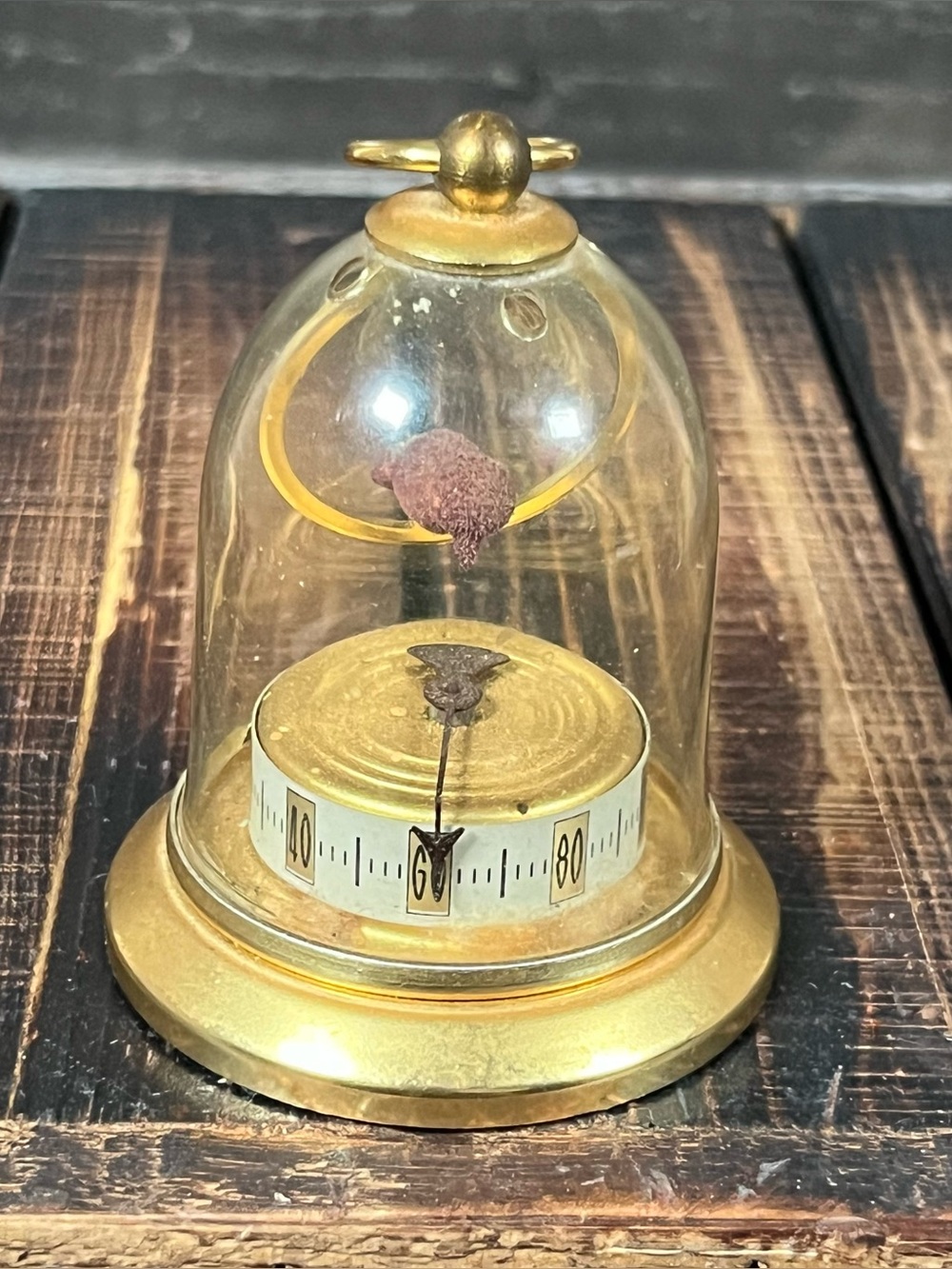 Antique French Bimetallic Bird In Domed Glass Cage Vintage Thermometer 3”